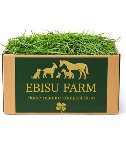 Amazon | ジェックス 旬牧草イタリアンライグラス40g | GEX